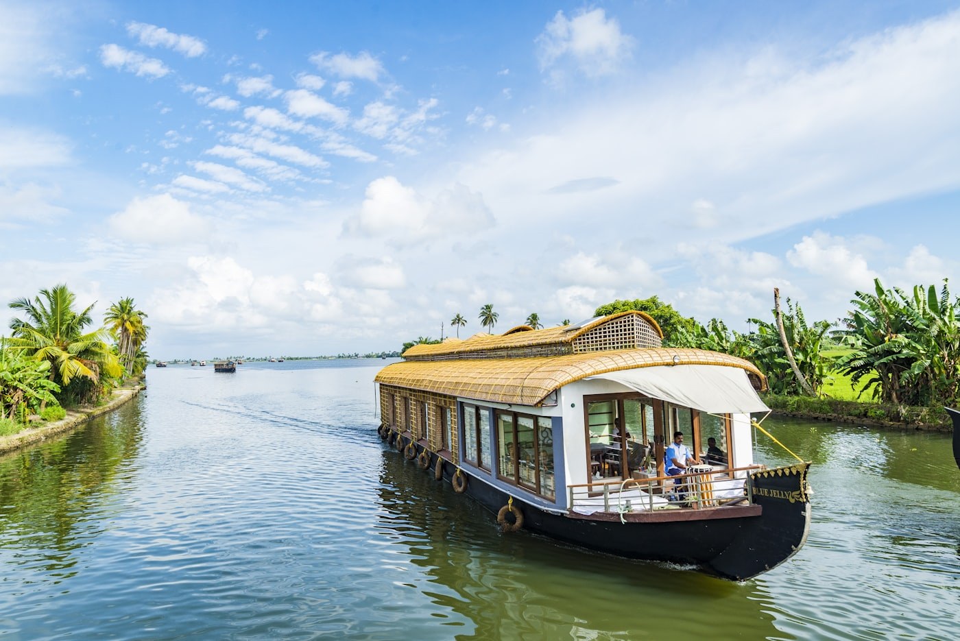 Houseboat morning, Kerala